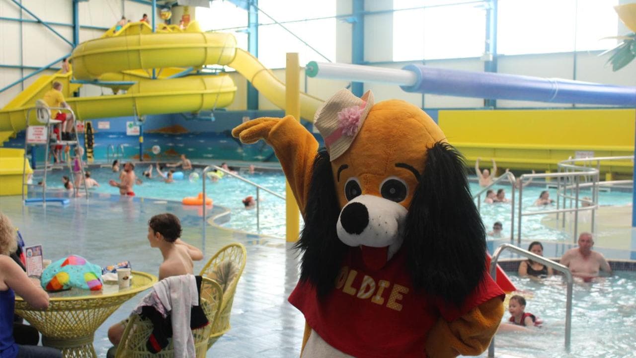 Indoor pool and slides at Golden Palm Resort